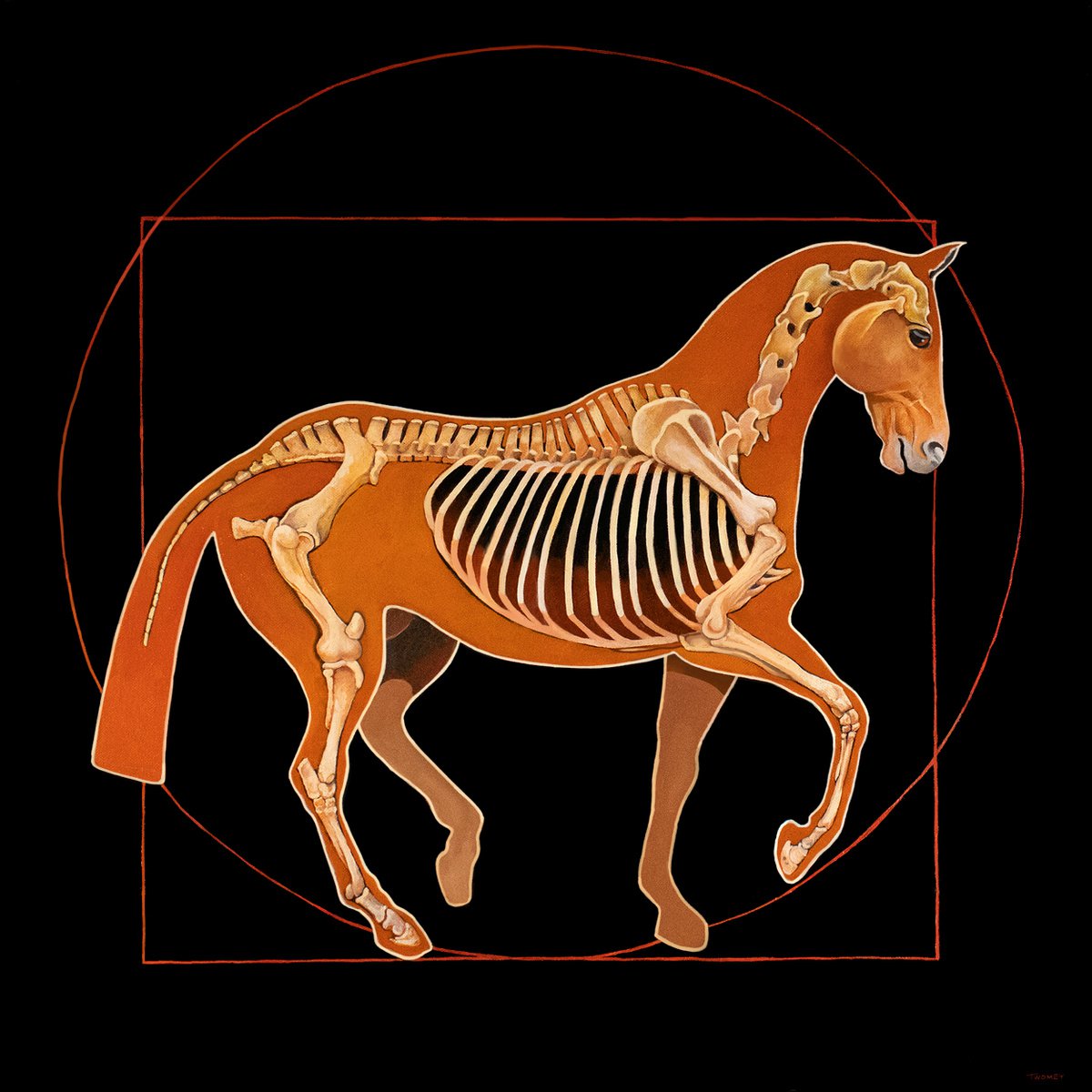 DaVinci Horse: The Piaffe Revealed by Catherine Twomey
