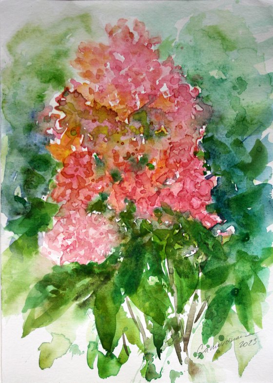 Hydrangea III / ORIGINAL WATERCOLOR PAINTING