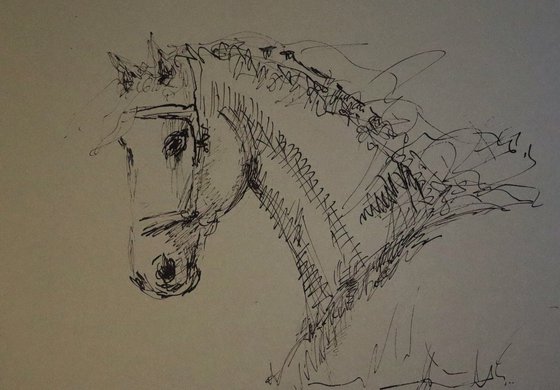 Horse