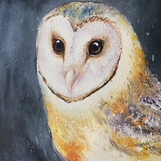 Oda_ Barn Owl