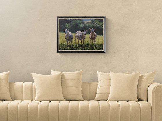 Three Sheep