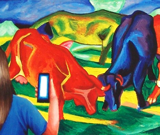 Bulls Fighting