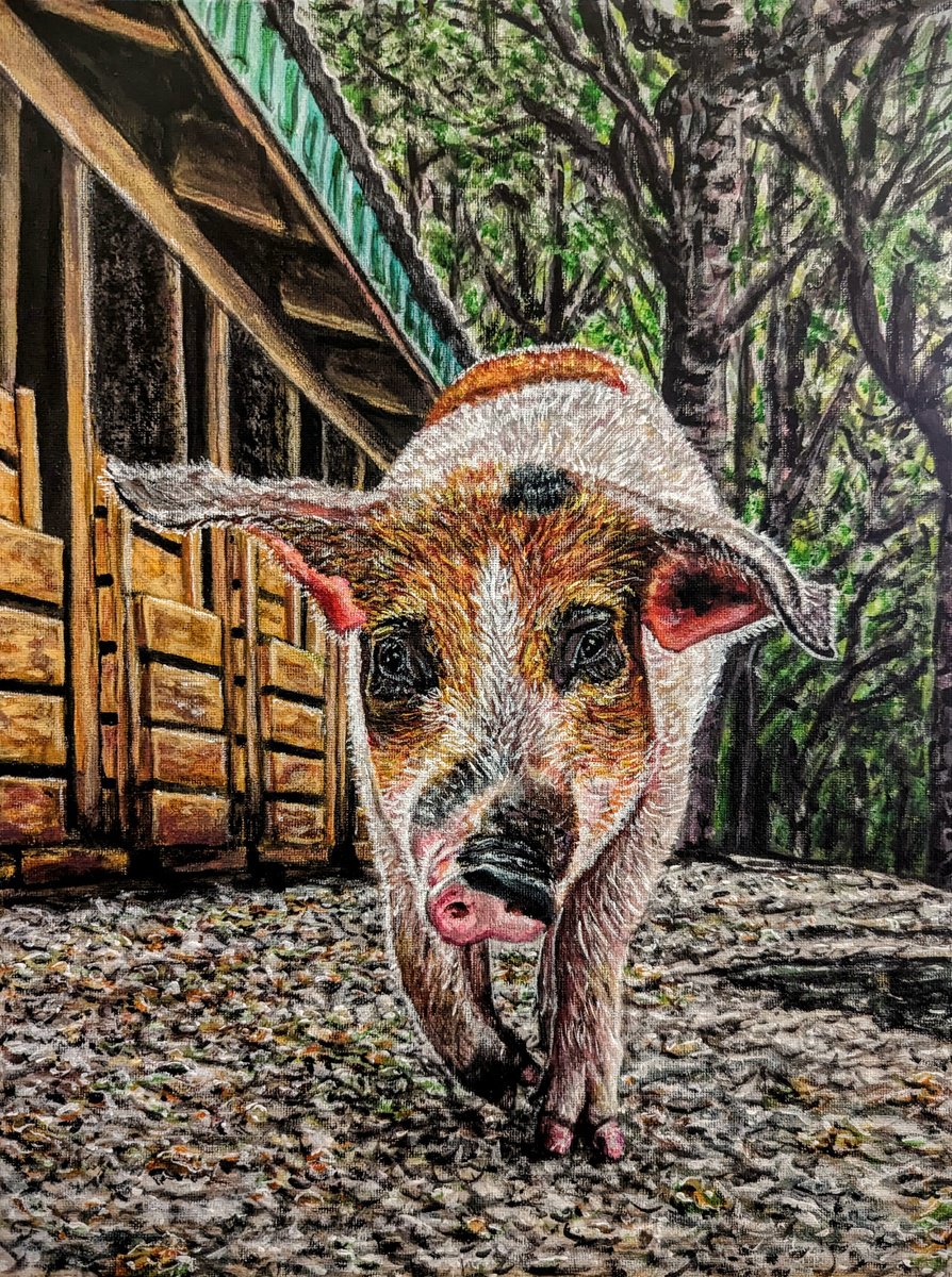 Impressionistic Animal Acrylic Painting By Robbie Potter, 12 X 16", Fia The Rescued Pig