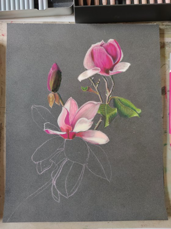 Magnolia