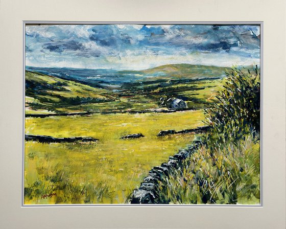 Dales Landscape