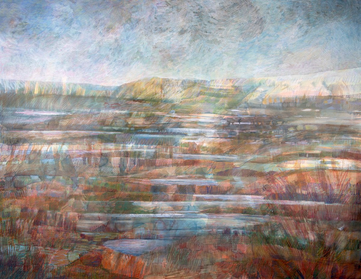 Abstract Landscape Pencil Drawing By Elizabeth Anne Fox, 60 X 48, Sphagnum Country, Original Artwork