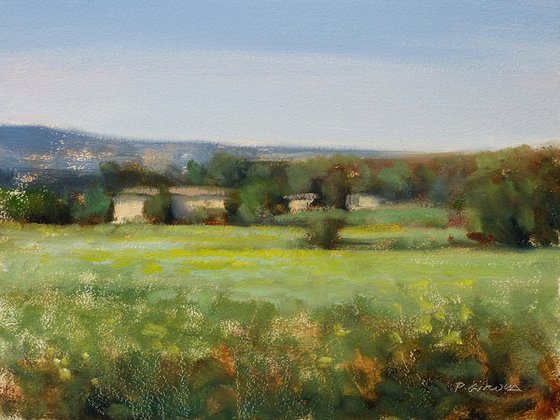 Farm in Provence