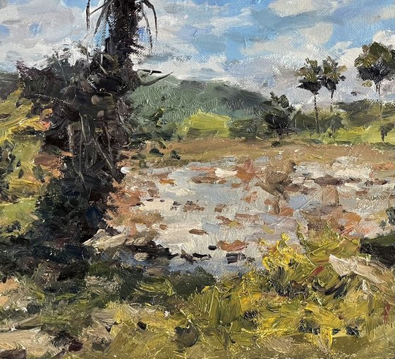 Rainy Season in Rural Thailand