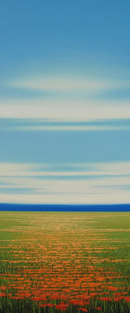 Spring Flower Field - Blue Sky by Suzanne Vaughan