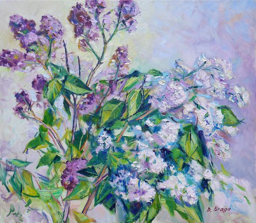 The branches of lilac by Dima Braga