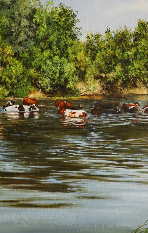 Cows in River by Natalia Shaykina