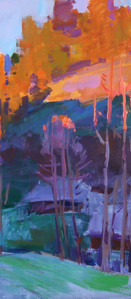 Evening colors by Aleksandr  Kryushyn