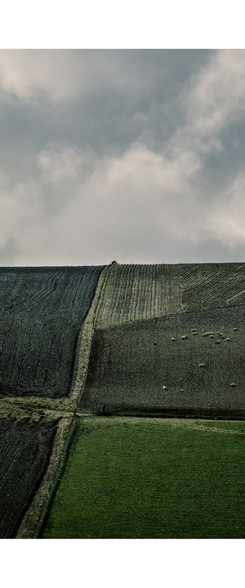 Hill Line V by David Baker