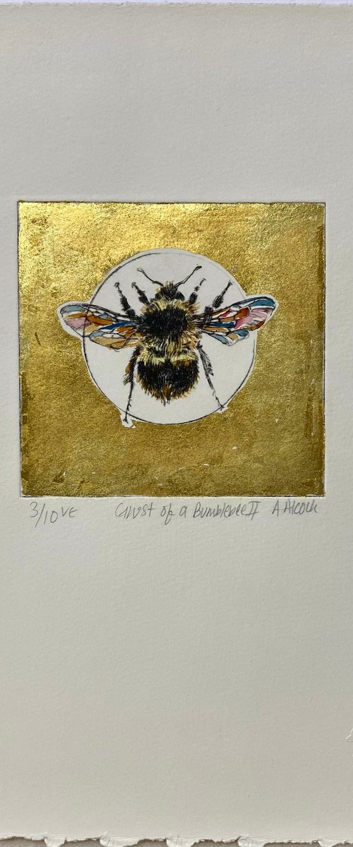 Ghost of a Bumblebee II by Anna Alcock