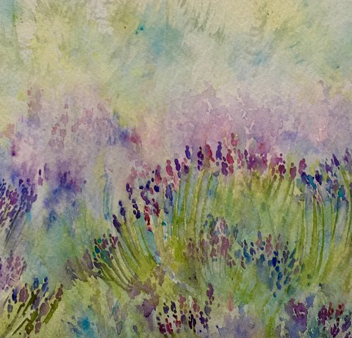 The scent of lavender by Samantha Adams