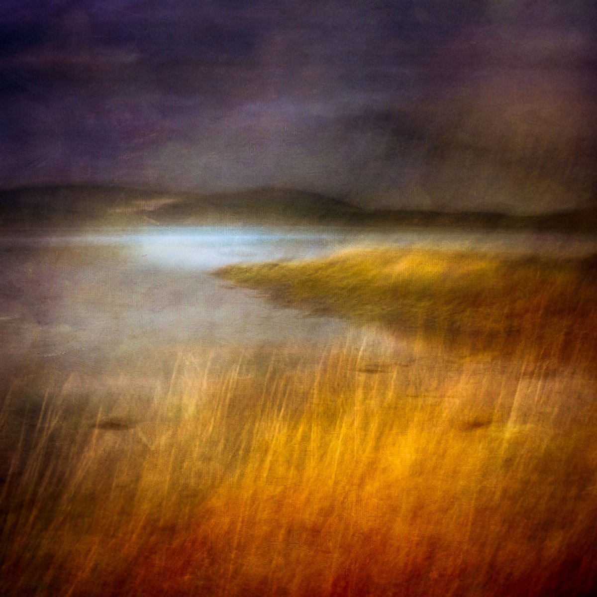 Impressionistic Landscape Photograph By Lynne Douglas, 60 X 60", The Fabric Of The Land Ii, Original Artwork