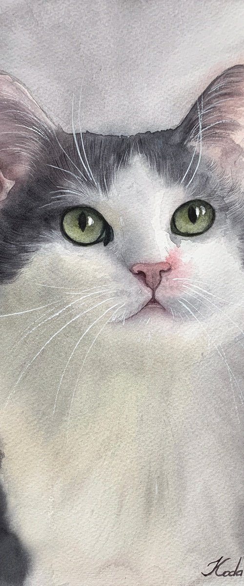 Cat portrait by Tetiana Koda