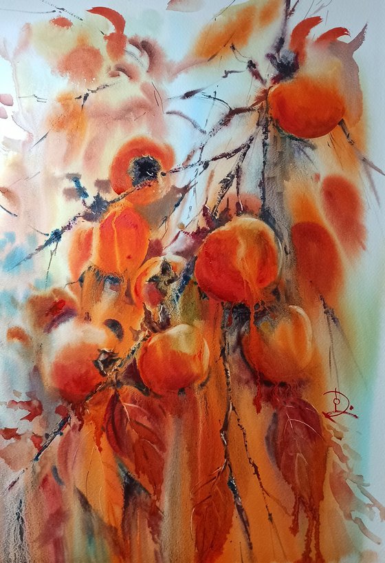 Persimmons