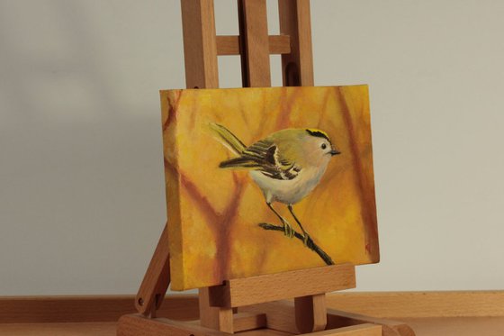 Goldcrest