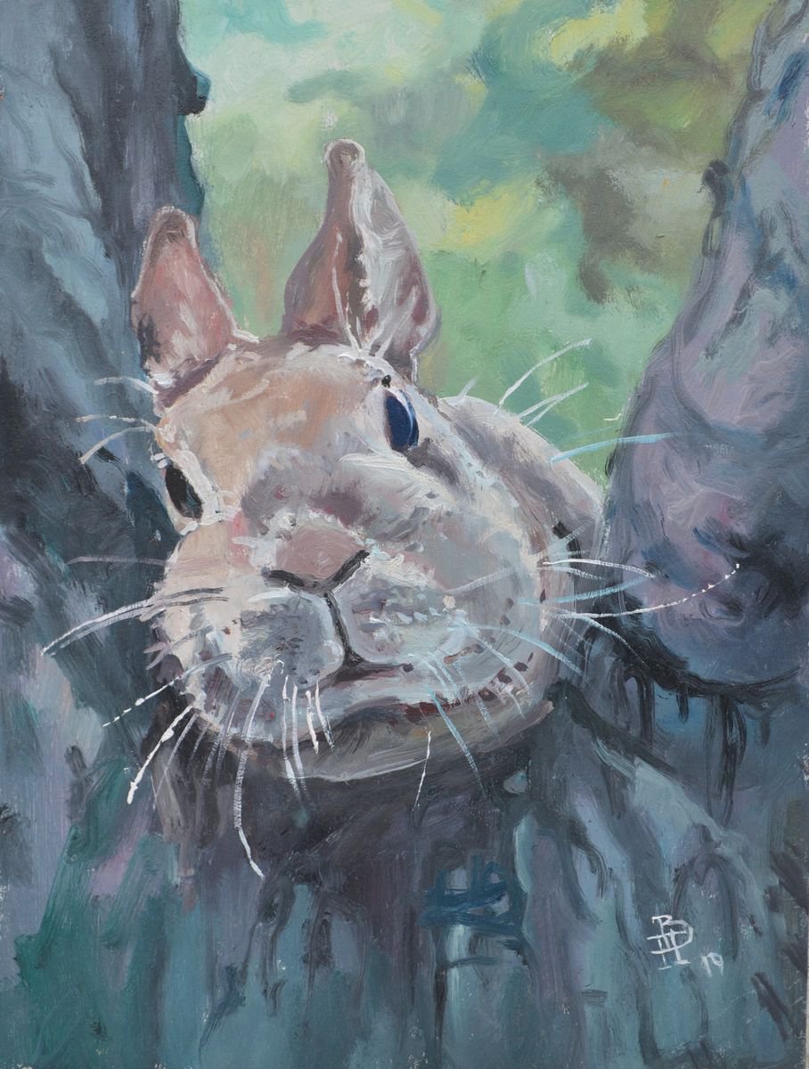 Bunny by Vitalii Panasiuk