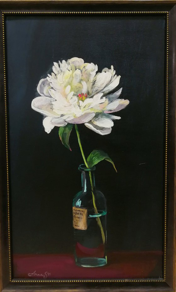 “Peony against a dark background”