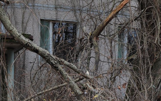#23. Pripyat old yard 1 - Original size