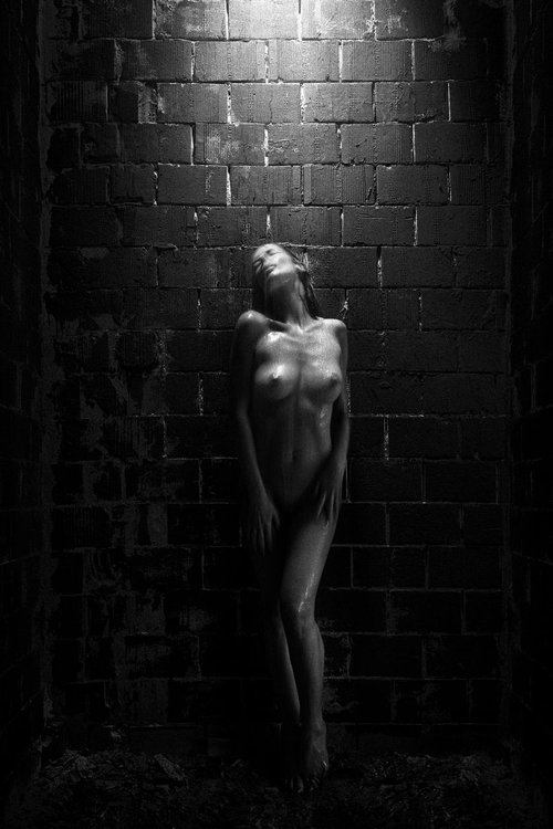 Black Room II. - Art Nude by Peter Zelei