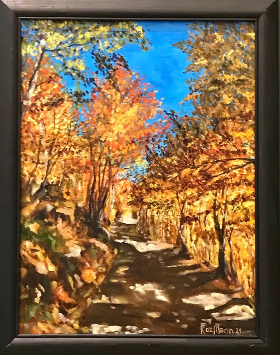 Autumn In Montenegro