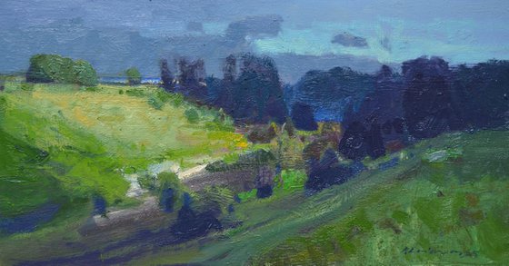 Summer Shadows