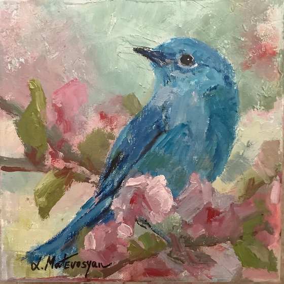Blue Bird