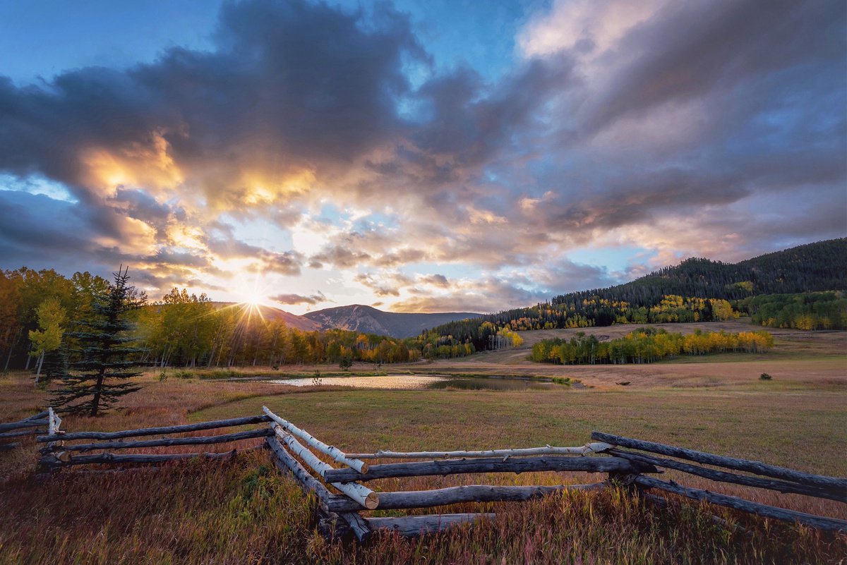 Photorealistic Landscape Photograph By Emily Kent, 30 X 20, End Of Autumn, Original Artwork