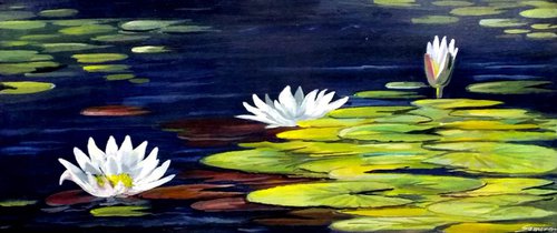 White Lotus on Pond by Samiran Sarkar