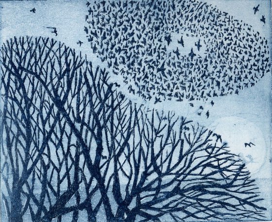 Little Murmuration