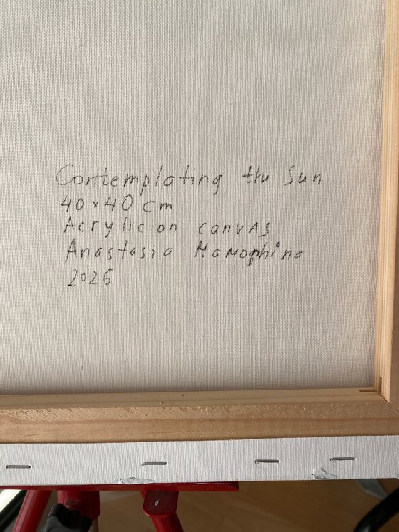 Contemplating the Sun