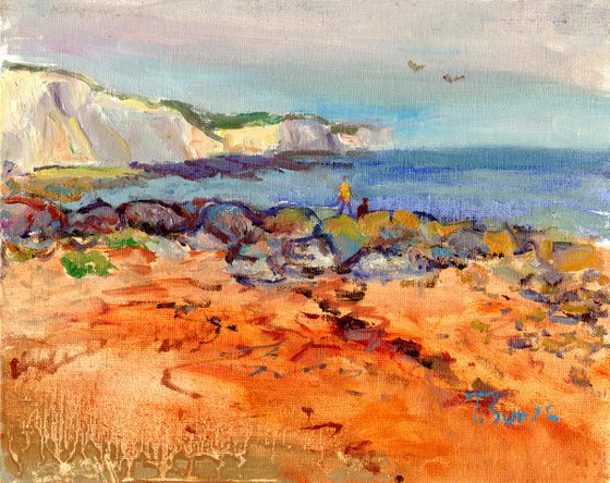 View from Rottingdean beach