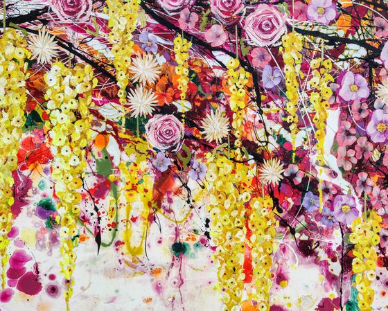 Study in Luminous Gravity