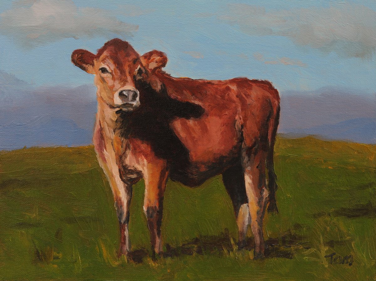 Swiss Evolene Calf by Tom Clay