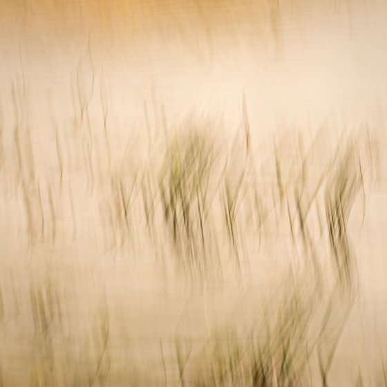 By still waters...