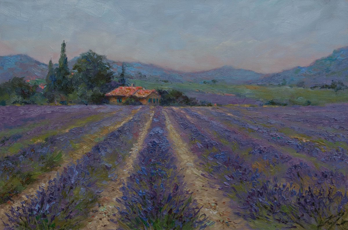 Lavender field by Natalia Kakhtiurina