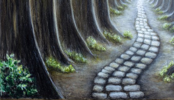 Mysterious trip