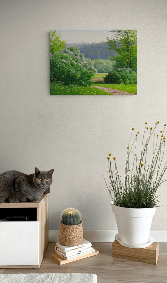 Blooming spring meadow