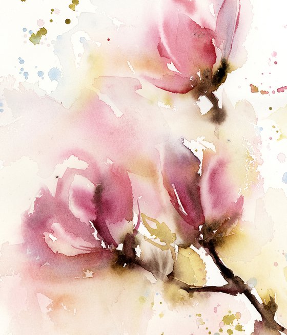 Magnolia Flowers