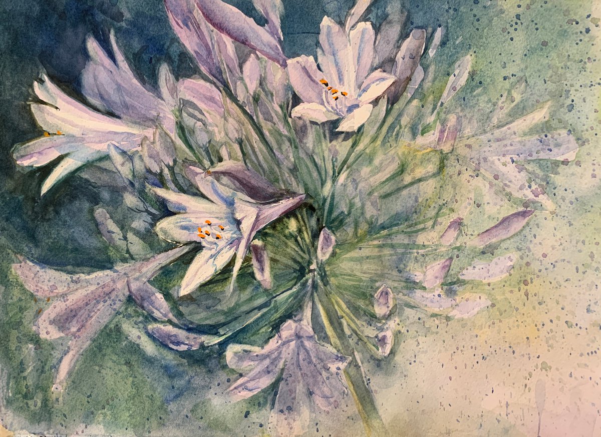 Impressionistic Botanical Watercolour By Yoshiko Murdick, 15 X 11", Lily Of The Nile, Original Artwork