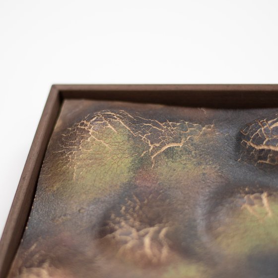 Terra Cognita. Soil Horizon 01