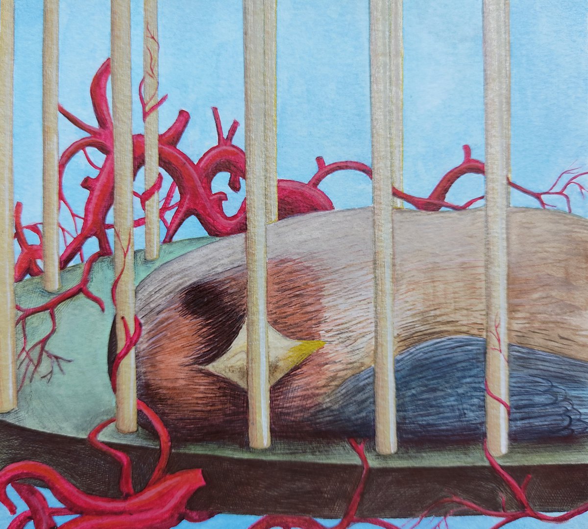 Animal Watercolour By Andromachi Giannopoulou, 7 X 6, Old Love, Original Artwork