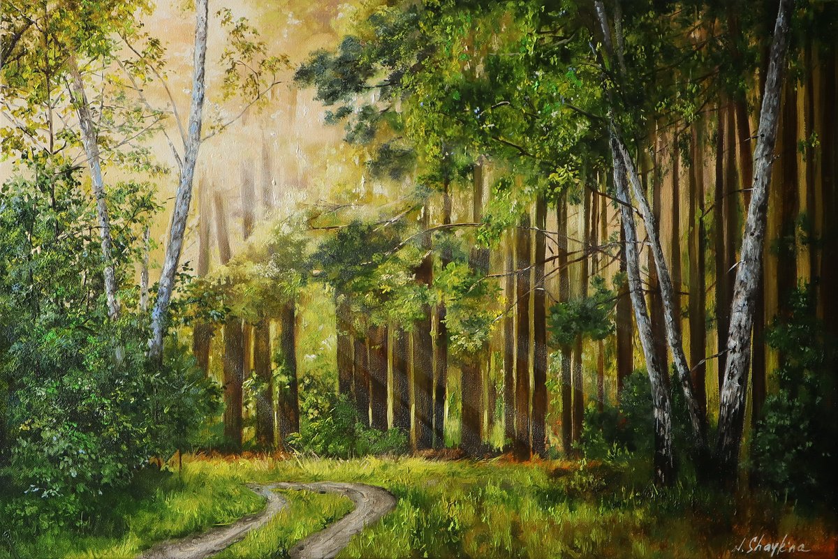 Road in the Forest, Sunlight Streaming Through Trees by Natalia Shaykina