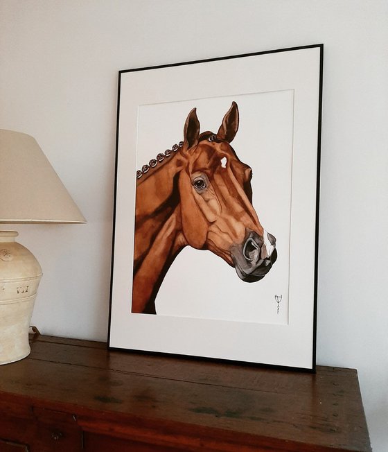 Vivaldi - Dressage horse KWPN stallion