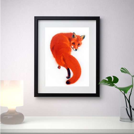 Red Fox Watercolor – wildlife - wild animals - foxy
