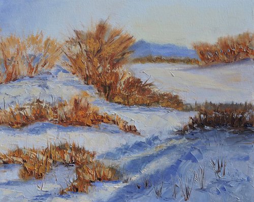 Winter in the Rockies by Linda Mooney