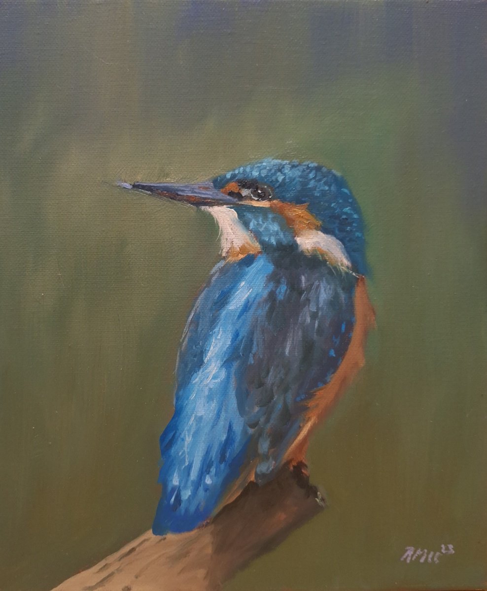 Kingfisher by Robert Mee